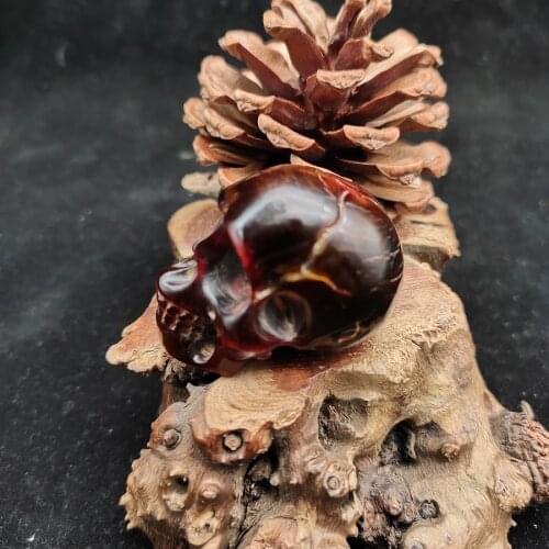 Natural yak horn skull corpse Tuolin main ornament handle statue