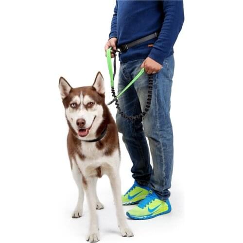 Clearance Sale Nylon Reflective Dog Leash With Waist Belt Hands Free Adjustable Pet Dog Leash Night Outdoor Training Products