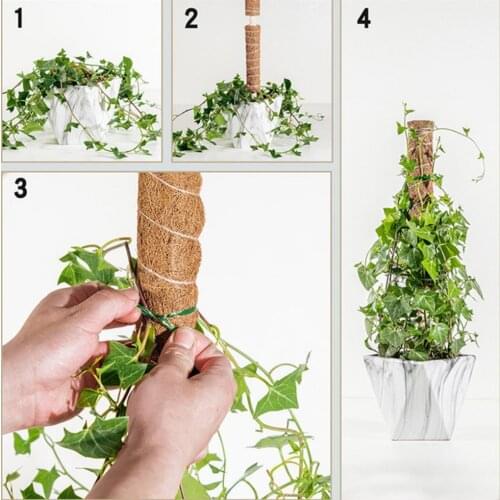 Plant Climbing Pole Coir Moss Stick Coir Moss Palm Vines Stick Plant Support Extension Climbing Indoor Plants Creepers 30cm 40cm
