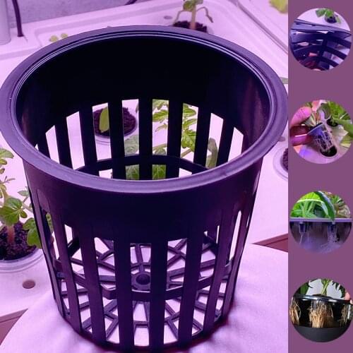 50Pcs Hydroponic colonization Mesh Plant Grow Pot Net Nursery Cup Basket holder Root-fixing appara Aeroponic vegetable Soilless