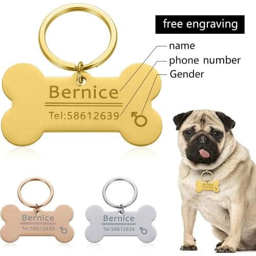 Personalized Engraved Cat Dog Pet ID Tag Dog Anti-lost Collar Charm Pet Name Collar Puppy Cat Collar Accessories for Dog