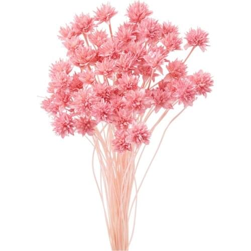 50pcs Wedding decor small wax chrysanthemum immortal flower bouquets natural plants dying MIni flower bunch for home