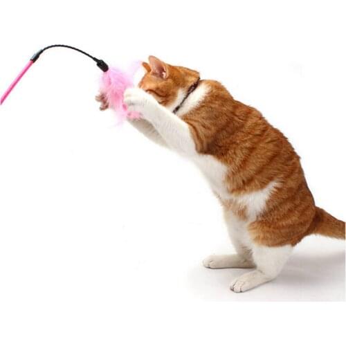 Fashion Cat Play Feather Teaser Small Bell Type Cat Toy 50cm Ultra long Rod Pets Toy JS-989