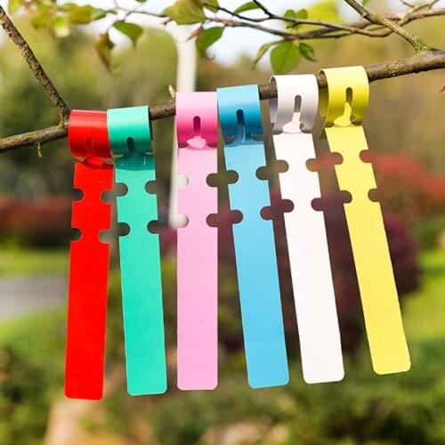 100Pcs Plastic Plant Markers Waterproof Nursery Plant Tags Garden Hanging Tree Markers Colorful Plant Markers Tray Mark Tools