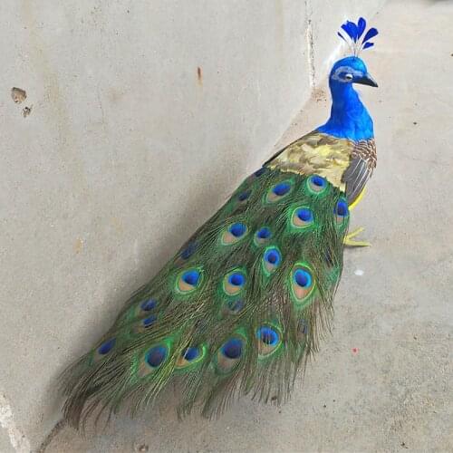 Real life peacock model foam&feather simulation peacock bird gift about 60cm xf2671