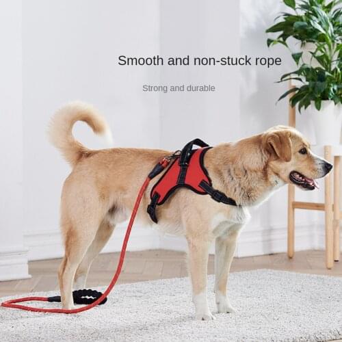 GHJISHO Collars, Harnesses And Leashes
