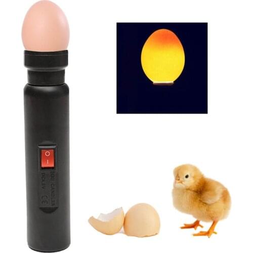 Bright Cool LED Light Egg Candler Tester for Chicken Quail Poultry Incubator Brooder Hatching Egg Tester Quality Handy Tool