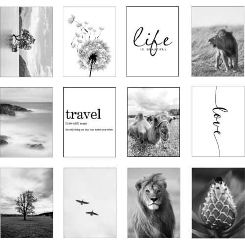 Black White Lion Bird Wall Art Poster Nature Tree Landscape Canvas Painting Nordic Print Modern Picture wall painting Home Decor