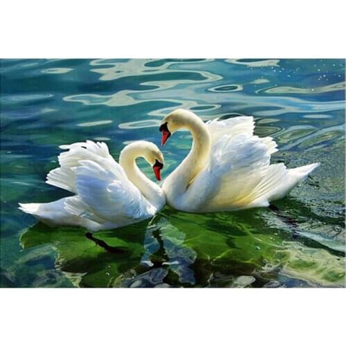 Painting By Numbers DIY Dropshipping 40x50 50x65 60x75cm lake swan Beautiful Animal Canvas Wedding Decoration Art picture Gift