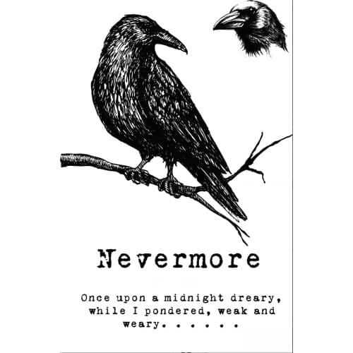 Crow transparent Clear Silicone Stamp/Seal for DIY scrapbooking/photo album Decorative clear stamp sheets B0104