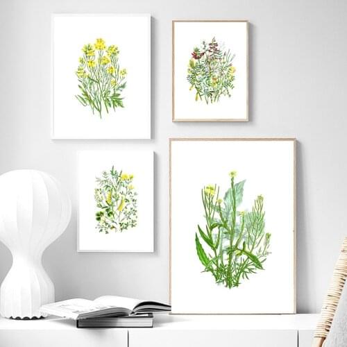 Herb Plant Mustard Grass Chrysanthemum Wall Art Canvas Painting Nordic Posters And Prints Wall Pictures For Living Room Decor
