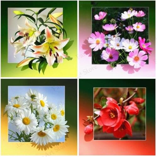 5D Diamond Painting Flower Square Diamond Embroidery Sales Mosaic Rhinestone Picture DIY Home Decoration Gifts