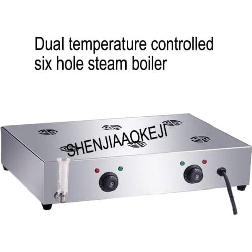 Dual temperature controlled six hole steam boiler Commercial desktop steaming furnace Electric steam cabinet 220V 1PC