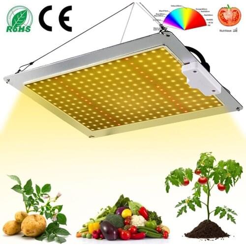 Placa Quantum Espectral LED LED A prueba de agua Lámpara de planta 2000W Hidropónico Greenhouse Cultive Mejorador