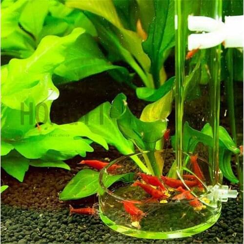 HONGYI 1 piece acrylic aquarium red bee shrimp feeder long tube crystal shrimp feeding tube++suction cup 22/27/32/37/41/45cm