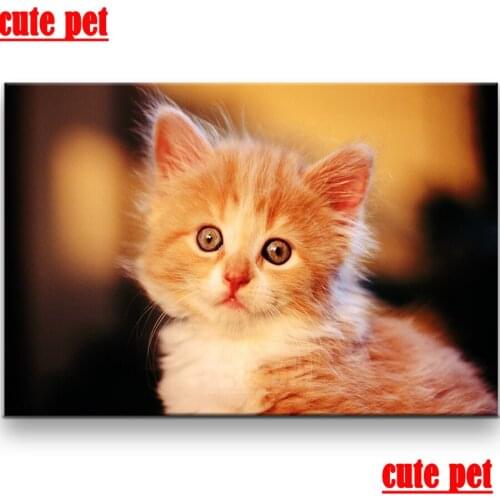 Cute pet orange cat DIY Diamond Painting New Square Diamond 5D Embroidery Sale animal Diamond Mosaic Full Display Home Decor