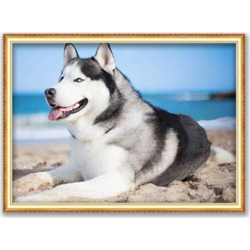 Animal Dog Husky DIY Embroidery Cross Stitch 11CT Kits Needlework Craft Set Cotton Thread Printed Canvas Home Decoration Sale