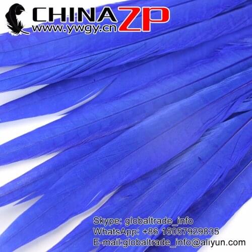 CHINAZP Factory 100pcs/lot Size from 12inch to 14inch(30-35cm) Dyed Dark Blue Ringneck Pheasant Tail Feathers