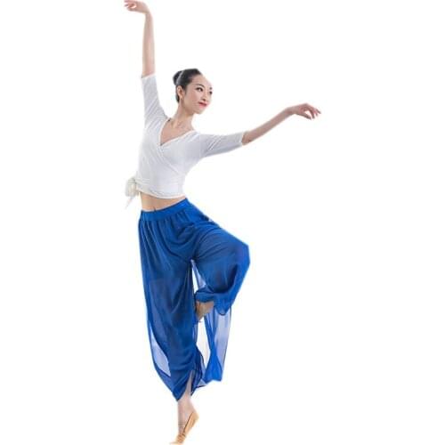 Elegant Dance Clothing Suits Chiffon Wide-leg Pants Modern Dance Practice Clothes Modal Shirt Adults XL