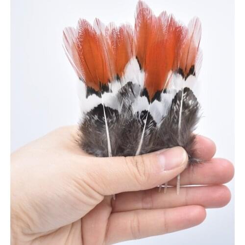 Natural Lady Amherst Pheasant Feathers for Crafts 5-30cm/2-12" Craft Feathers for Clothes Decor Decoration Plumas Carnaval Top