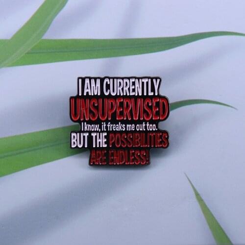 I Am Currently Unsupervised Funny Sarcastic Phrases lapel pin perfect design for fun loving people