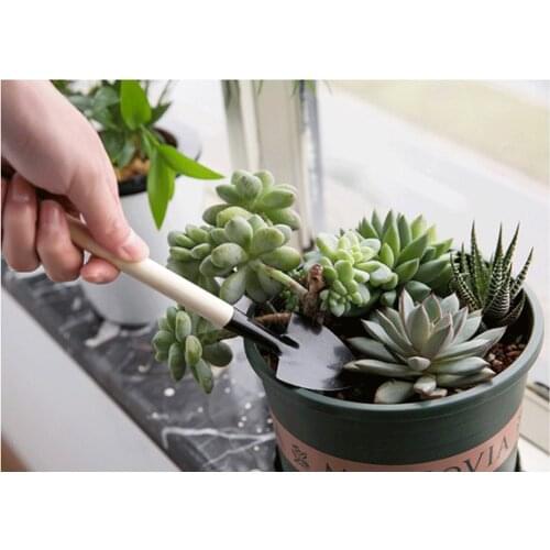 Gardening Tool Set Mini Succulent Garden Tools Kit with Wood Handle, Includes Shovel and Trowel, for Cultivating/Weeding/Digging