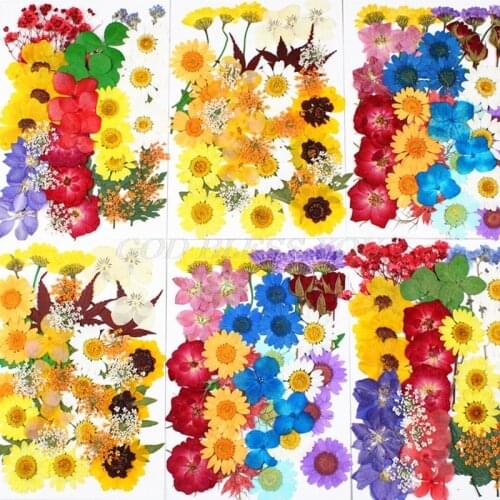 1 Pack Dried Flowers UV Resin Decorative Natural Flower Stickers 3D Dry Beauty Decal Epoxy Mold DIY Filling Accessories