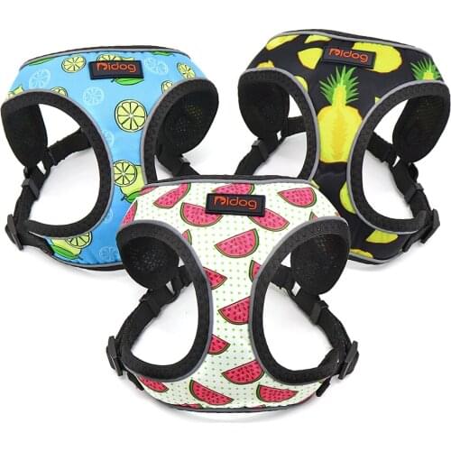 Dog Leash Vest Type Cat Chest Harness Anti-Break-Away Method Teddy Pet Supplies Dog Fashion Printing Pet Supplies