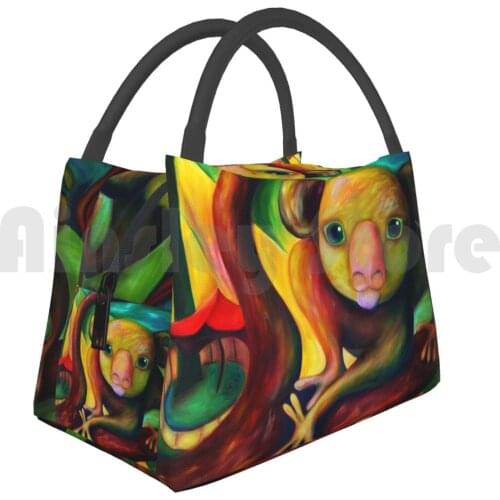 Portable Insulation Bag Stalking Koala Koala Stalking Branch Tree Umbrella Port Macquarie Endangered Recovering