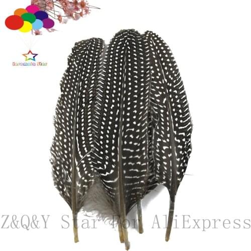 Natural 10-100 pearl nest forest 15-20CM (6-8 inches) feather washed DIY craft hand jewelry feather