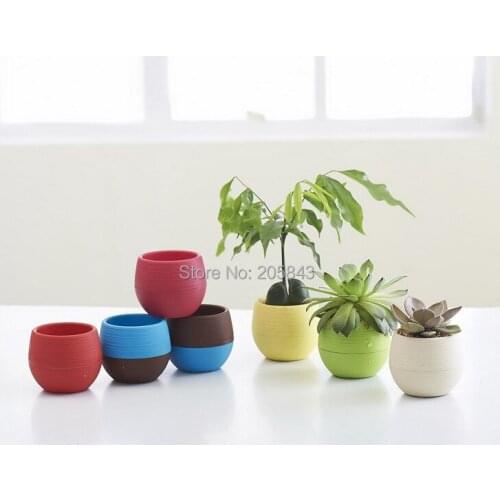 30 pcs/lot circular fashion Korea meaty plant flower pot Mini stone flower pot Rainbow Desktop flower pot
