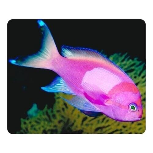 MP1201 Animals Design Rectangular Tropical Fish razer mouse pad mousepad steelseries