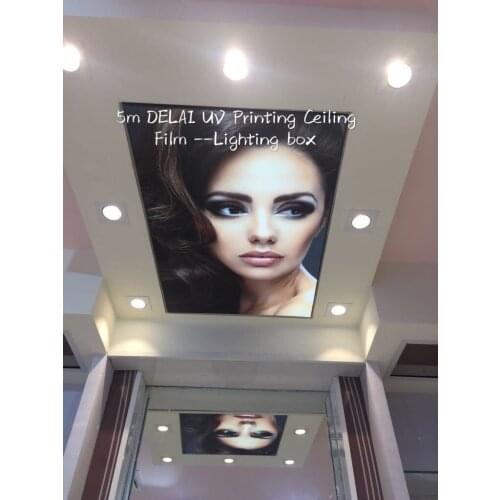 F1 Black hair style Printing stretch ceiling film for workshop ceiling decoration Attractive Printing ceiling film