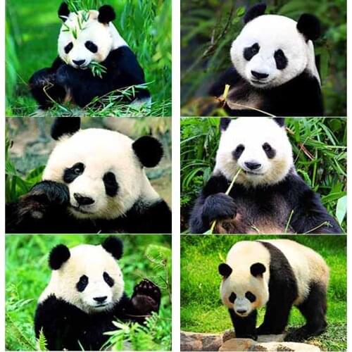 New 5D DIY Diamond Painting Panda Diamond Embroidery Animal Cross Stitch Full Square Round Drill Crafts Home Decor Manual Gift