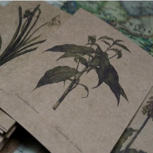 30sheets/pack Hand painted garden Vintage cowhide painted flowers plant system postcard