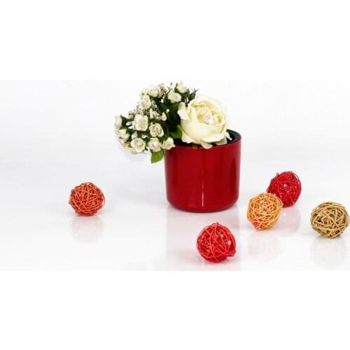 EminHome Mimosa cactus flower pot 9 Cm 0.4 liter colorful stylish and modern desing flowerpot quality flower pot