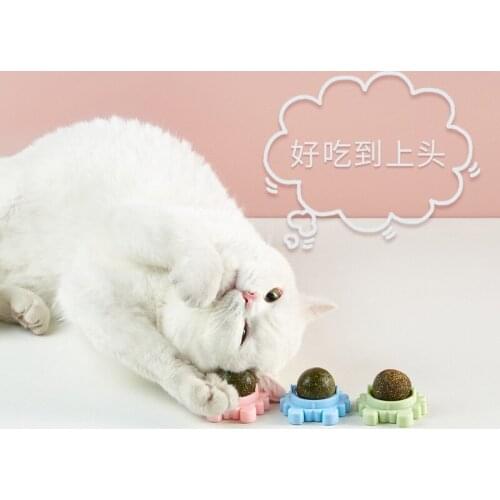 Catnip Ball Toy Natural Catnip Tooth Cleaning and Molar Toys Pet Products Pets Accessories Kitten Toothbrush Interactive Edible
