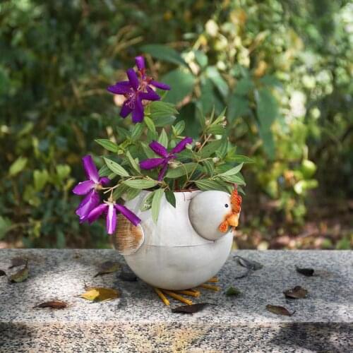 Vintage Style Metal Hen Cactus Flower Planter, Succulent Garden Pot