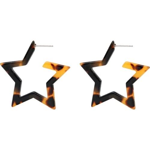 Leopard Print Long drop Earrings For Women Tortoiseshell Acetate Resin Acrylic Za Heart Star Circle Geometric Earring