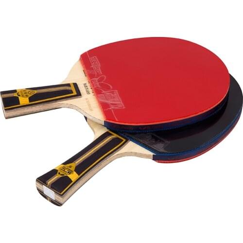 Lemuria best quality 5 layers pure wood with 2 layers super ZLC carbon fiber table tennis racket pimples-in table tennis rubber