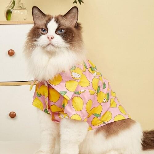 Pet Clothing Summer New Cat Clothes Cute Dog Shirt Orange Fruit Print Cardigan Pet Supplies Cat Clothes Pet Kitten Clothes Pet