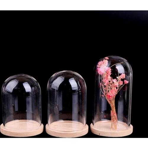 Glass Flower Display Cloche Bell Jar Dome Immortal Preservation + Wooden Base Everlasting Flower Glass Cover Home Decor Vases
