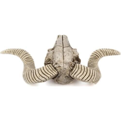 2pcs Skull Sheep ' S Head Faux Taxidermy Animal Head Wall Decor