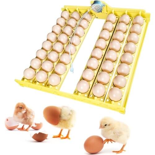 Automatically Turn Eggs Incubator Accessories 48 Eggs Tray with Motor Egg Tray for Chicken Incubation Equipment