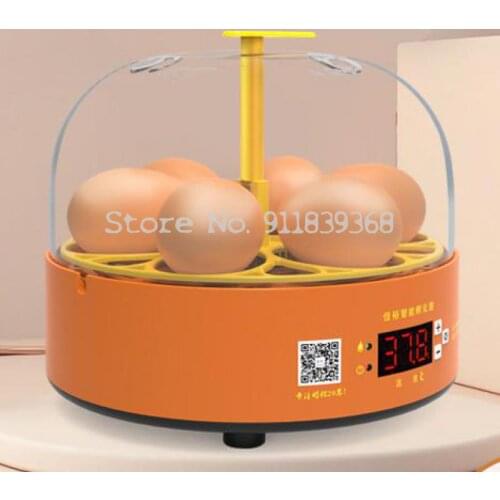 Incubator Small Household Automatic Intelligent Incubator Egg Mini Incubator Incubator Childrens Toys