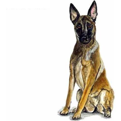 Personality Car Stickers Belgian Shepherd Malinois Police Rescue Guard Dog Graphics Funny Trunk Wall Decals Vinyl Apply To Car