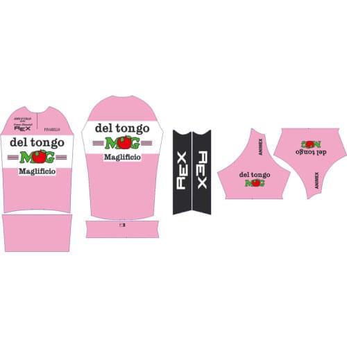 Customize Mens & Womens Team Logo/Name Cycling Jersey Set Short Sleeve/Shorts Show Flat View Bike Clothing Customize All Style