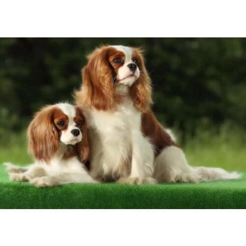 3D DIY Resin Square /Round Mosaic Diamond Painting Cavalier King Charles Spaniel 5D Cross Stitch Kits Diamond Embroidery FG1254