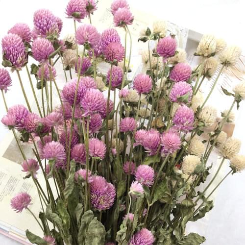 Preserved Fresh Flower Accessories Qianrihong DIY Handmade Aromatherapy Wax Garland Material Package Floating Flower Accessories