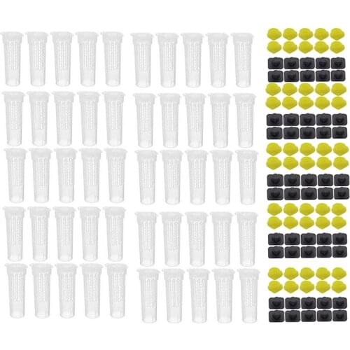 50PCS Bee Queen Cages Plastic Protective Cover Cage Cell Box Cup Rearing Bees King Tools Beekeeper Beekeeping Bet Beekeeping